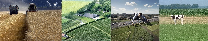 OudBodegraafseweg80b_f_ (32 van 37)