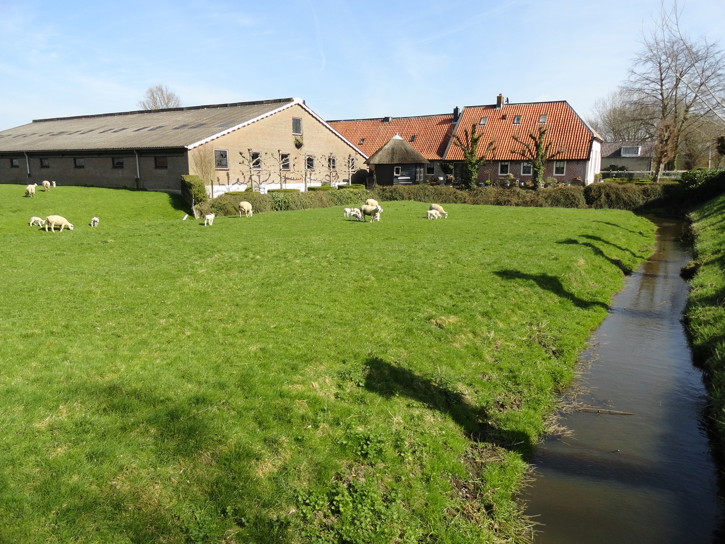 fb woubrugge