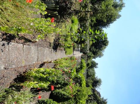onteigening (16)