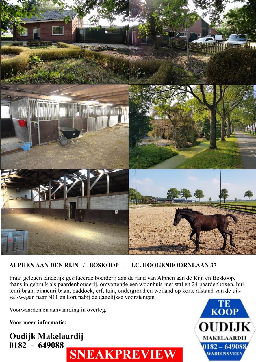 te-koop-noordeindseweg-424-berkel-en-rodenrijs-immobilia (42)