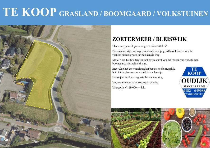 brochure-verkocht-eenvoudig-TBW68